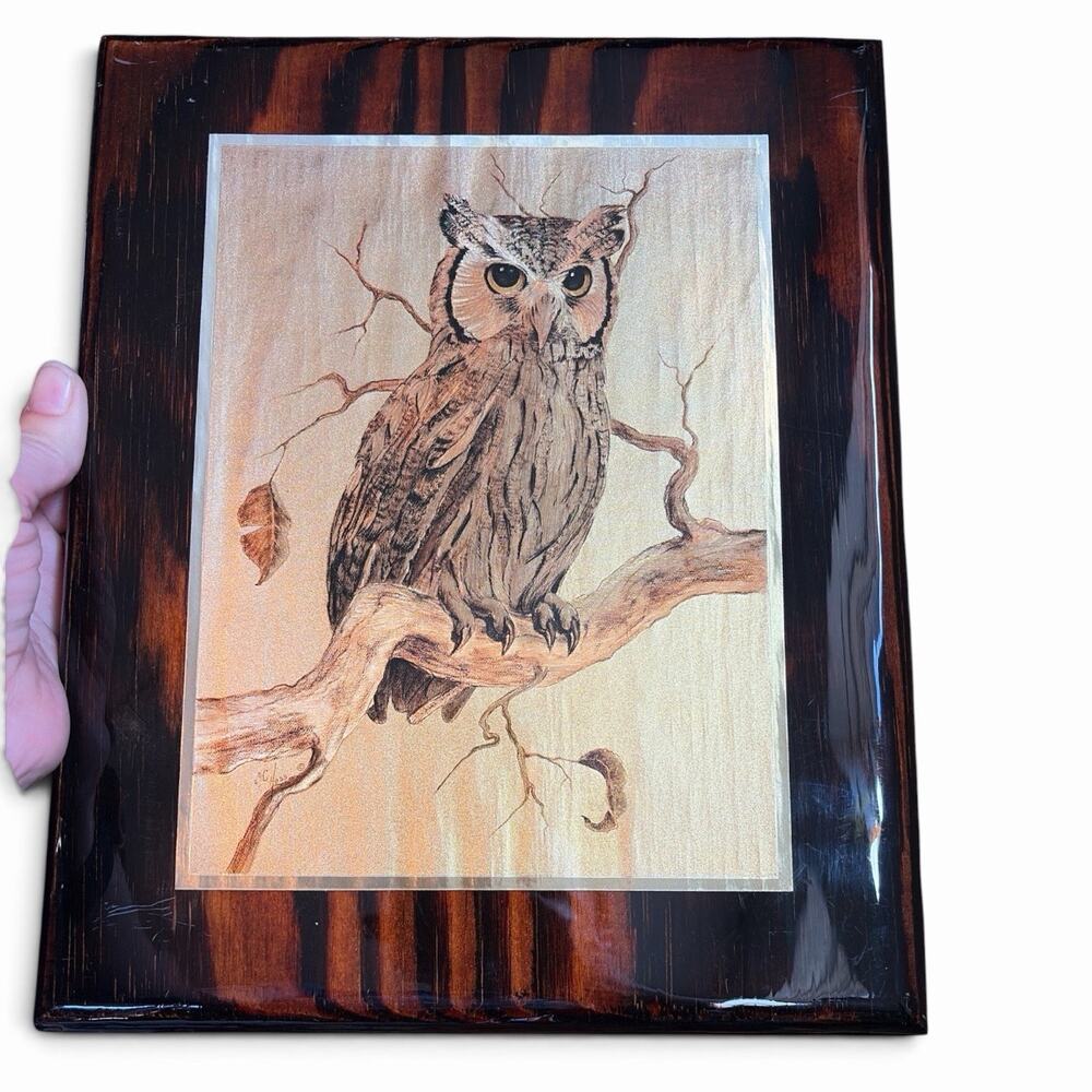 MCM C. Hoss Owl Foil Art Wall Plaque 9x11 Signed